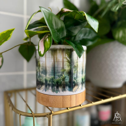 Plant Pot